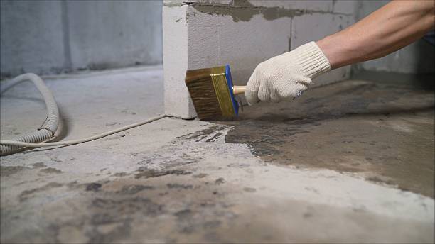 Crawl space vapor barrier installation in Clio, MI